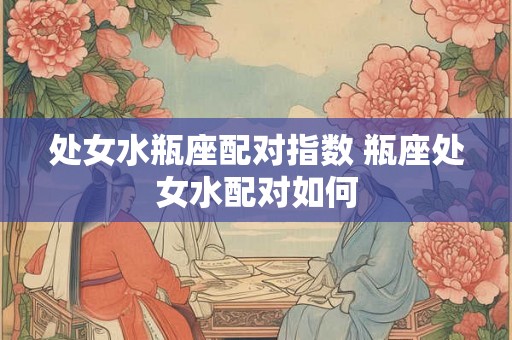 处女水瓶座配对指数 瓶座处女水配对如何