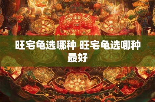 旺宅龟选哪种 旺宅龟选哪种最好