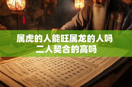 属虎的人能旺属龙的人吗 二人契合的高吗