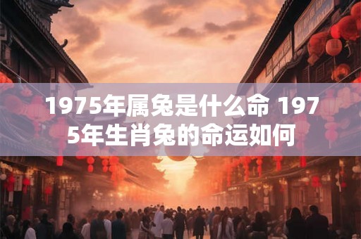 1975年属兔是什么命 1975年生肖兔的命运如何