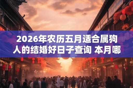 2026年农历五月适合属狗人的结婚好日子查询 本月哪天适合出嫁