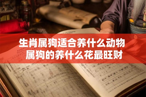 生肖属狗适合养什么动物  属狗的养什么花最旺财
