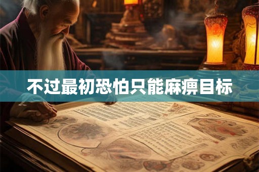 不过最初恐怕只能麻痹目标