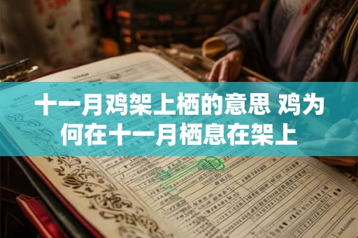 十一月鸡架上栖的意思 鸡为何在十一月栖息在架上