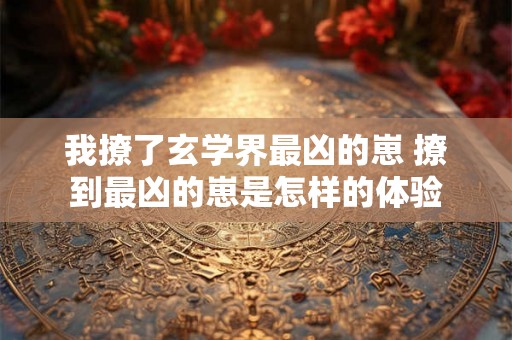 我撩了玄学界最凶的崽 撩到最凶的崽是怎样的体验