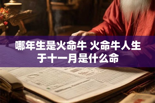 哪年生是火命牛 火命牛人生于十一月是什么命