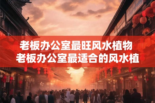 老板办公室最旺风水植物 老板办公室最适合的风水植物是什么