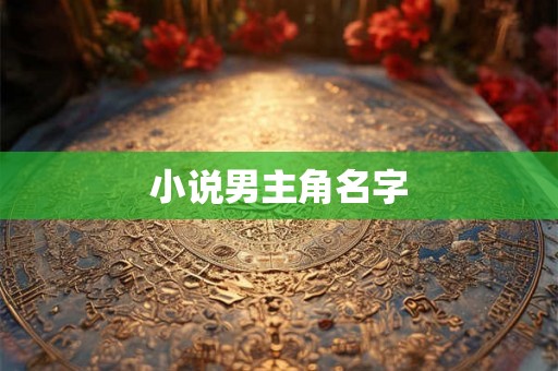 小说男主角名字 小说男主角名字
