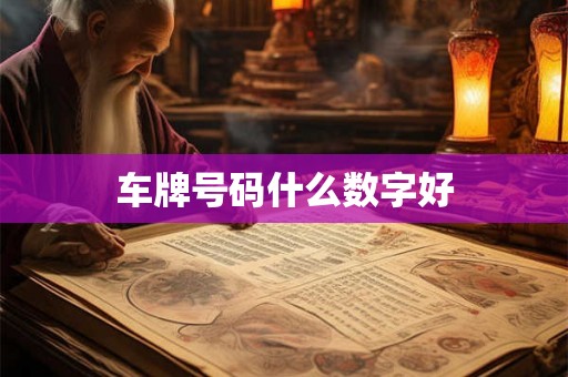 车牌号码什么数字好
