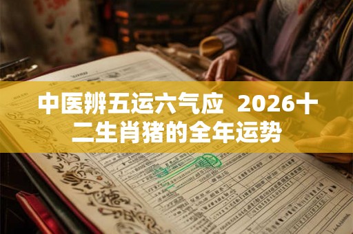 中医辨五运六气应  2026十二生肖猪的全年运势
