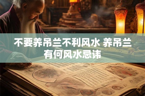 不要养吊兰不利风水 养吊兰有何风水忌讳