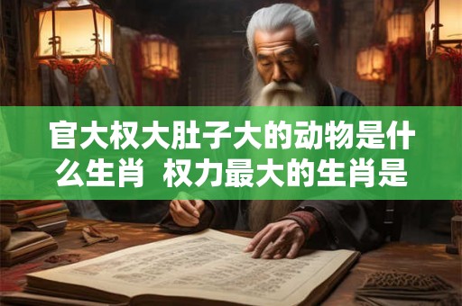 官大权大肚子大的动物是什么生肖  权力最大的生肖是什么