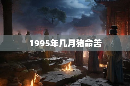 1995年几月猪命苦
