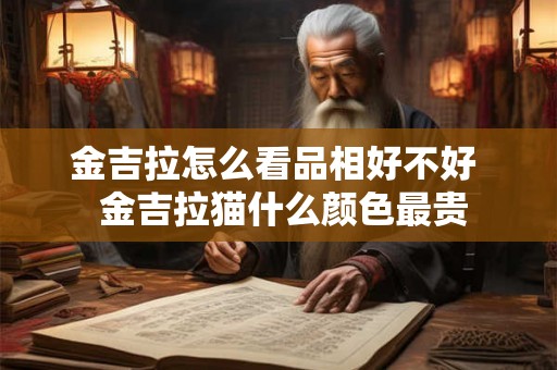 金吉拉怎么看品相好不好  金吉拉猫什么颜色最贵