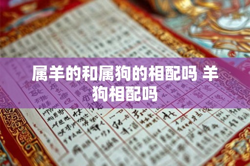 属羊的和属狗的相配吗 羊狗相配吗 属羊的和属狗的相配吗 羊狗相配吗