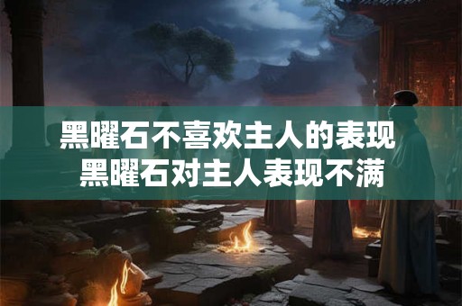 黑曜石不喜欢主人的表现 黑曜石对主人表现不满