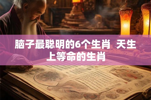 脑子最聪明的6个生肖 天生上等命的生肖 脑子最聪明的6个生肖 天生上等命的生肖