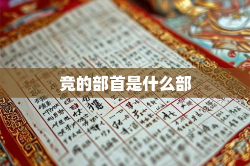 竞的部首是什么部