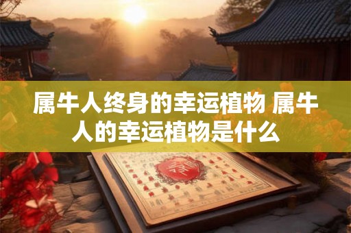 属牛人终身的幸运植物 属牛人的幸运植物是什么