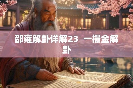 邵雍解卦详解23  一撮金解卦