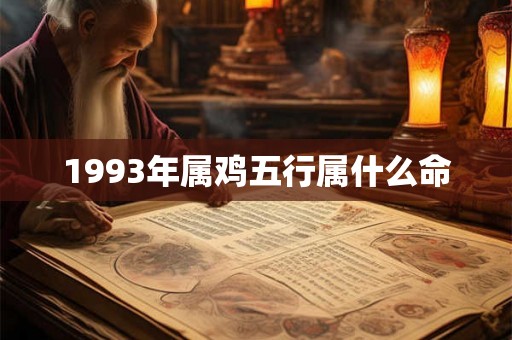 1993年属鸡五行属什么命