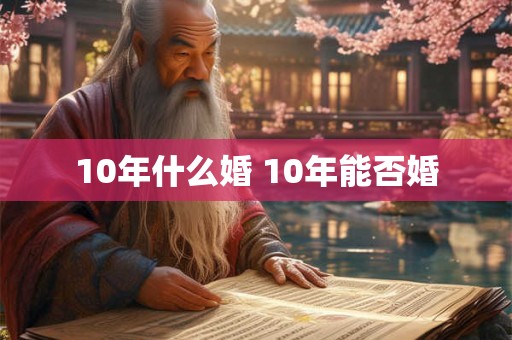 10年什么婚 10年能否婚