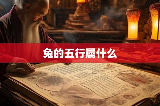 兔的五行属什么 兔的五行属什么