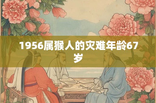 1956属猴人的灾难年龄67岁