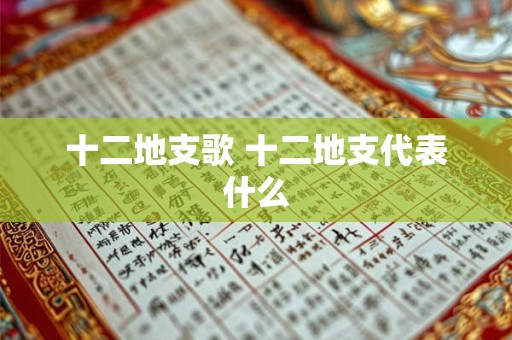 十二地支歌 十二地支代表什么 十二地支歌 十二地支代表什么