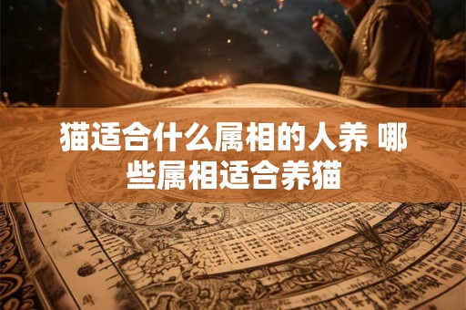 猫适合什么属相的人养 哪些属相适合养猫 猫适合什么属相的人养 哪些属相适合养猫