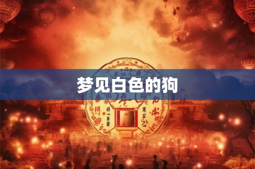 梦见白色的狗