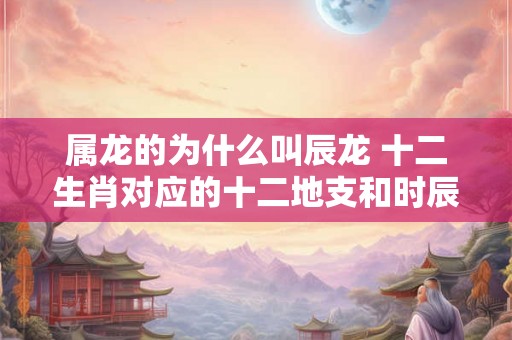 属龙的为什么叫辰龙 十二生肖对应的十二地支和时辰