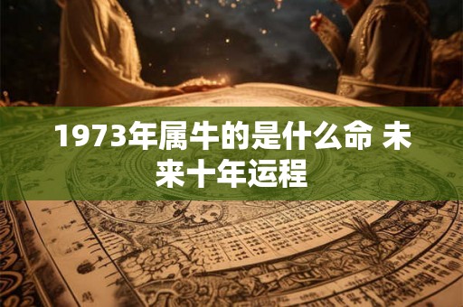 1973年属牛的是什么命 未来十年运程