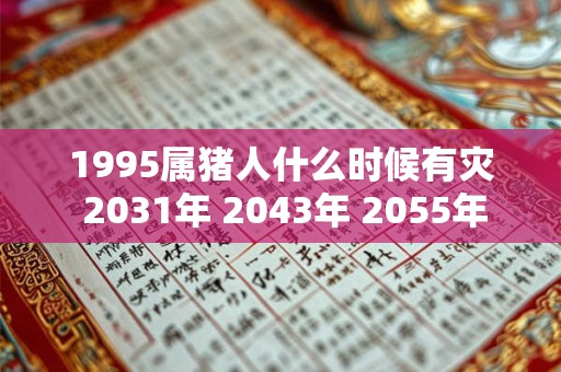 1995属猪人什么时候有灾 2031年 2043年 2055年