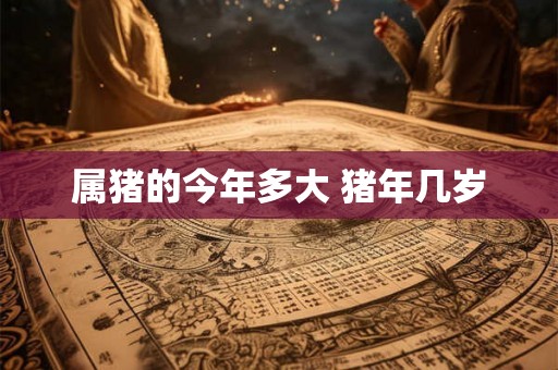 属猪的今年多大 猪年几岁 属猪的今年多大 猪年几岁