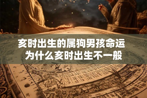 亥时出生的属狗男孩命运  为什么亥时出生不一般