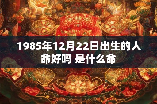 1985年12月22日出生的人命好吗 是什么命