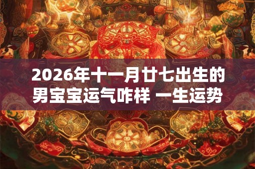 2026年十一月廿七出生的男宝宝运气咋样 一生运势分析