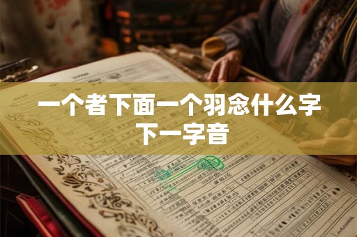 一个者下面一个羽念什么字 下一字音