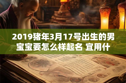 2019猪年3月17号出生的男宝宝要怎么样起名 宜用什么字