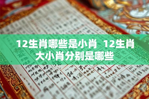 12生肖哪些是小肖  12生肖大小肖分别是哪些