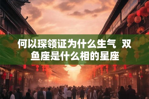 何以琛领证为什么生气  双鱼座是什么相的星座