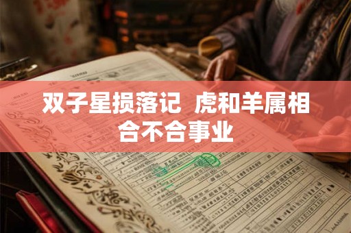 双子星损落记  虎和羊属相合不合事业