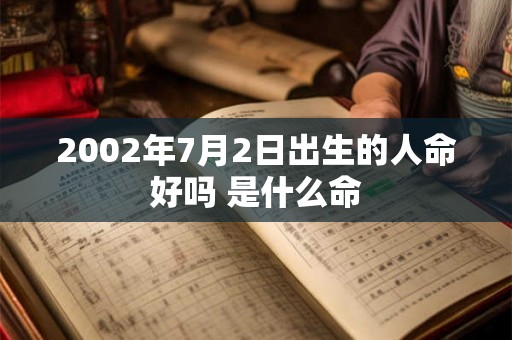2002年7月2日出生的人命好吗 是什么命