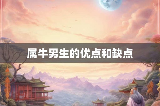 属牛男生的优点和缺点
