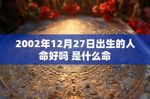 2002年12月27日出生的人命好吗 是什么命