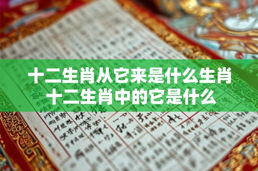 十二生肖从它来是什么生肖 十二生肖中的它是什么