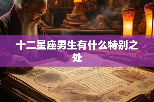 十二星座男生有什么特别之处
