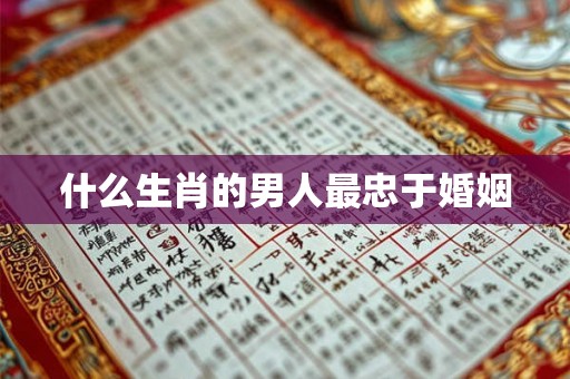 什么生肖的男人最忠于婚姻