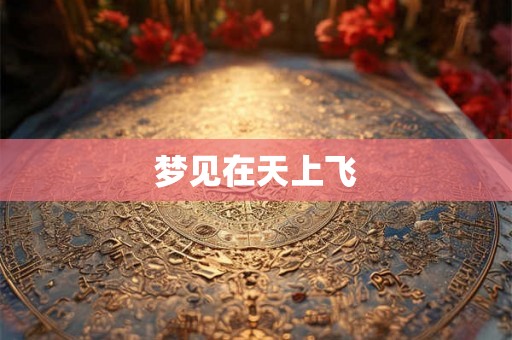 梦见在天上飞